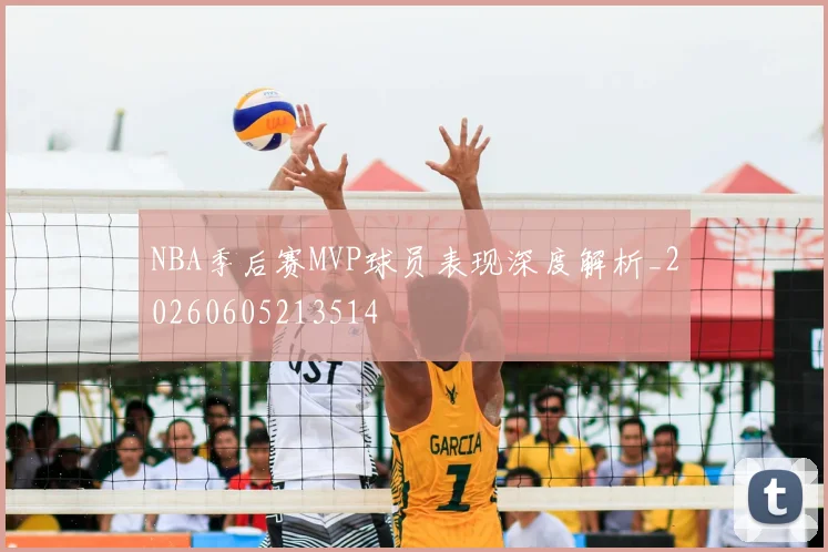 NBA季后赛MVP球员表现深度解析_20260605213514